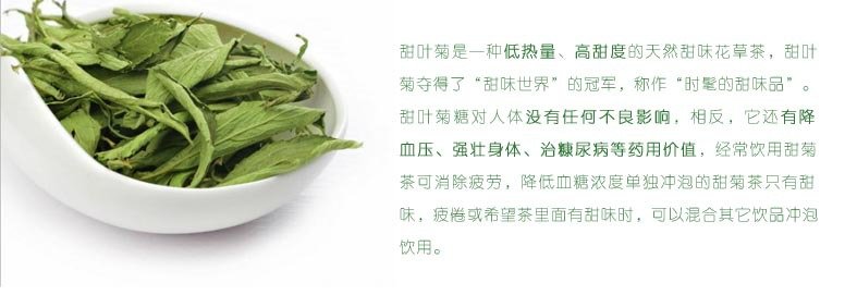 甜菊花的功效与作用