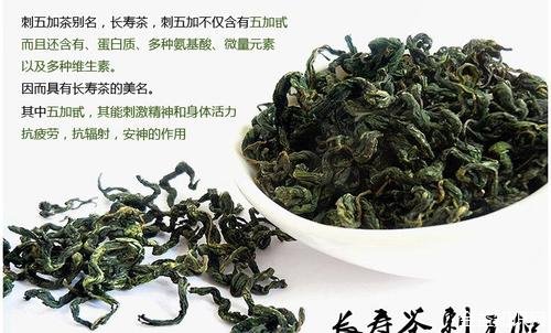 刺五加茶叶的功效与作用