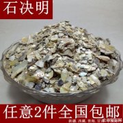 中药石决明的功效与作用