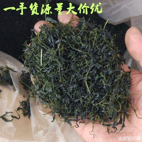 毛冬青茶的功效与作用