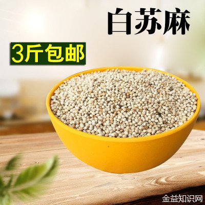 苏麻子的功效与作用