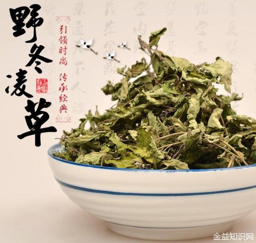 冬凌茶的功效和作用