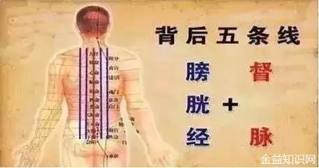 背部艾灸的功效与作用