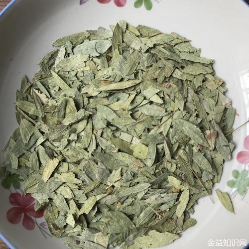 潘泻叶的功效与作用