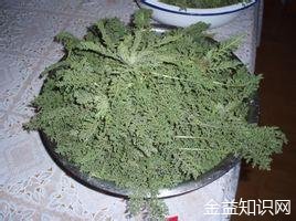 米米蒿的功效与作用