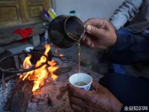 烤茶的功效与作用