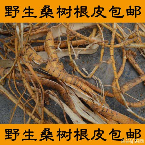 桑根皮的功效与作用