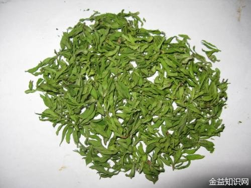 柳叶茶的功效与作用