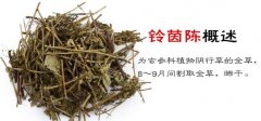 土茵陈的功效与作用