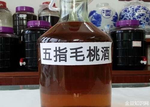 五指毛桃酒的功效与作用