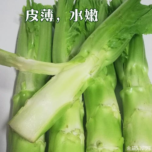 棒棒菜的功效与作用