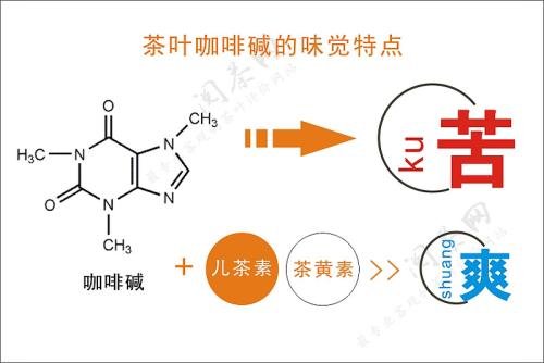 咖啡因的功效与作用