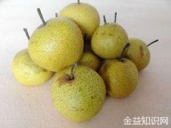 煮酸梨的功效与作用