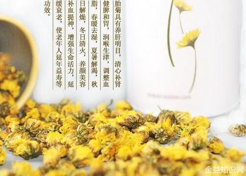 杭菊花茶的功效与作用