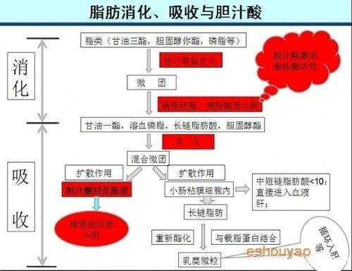 猪胆膏的功效与作用