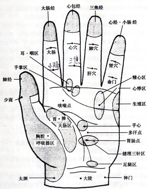 按摩手心的功效和作用