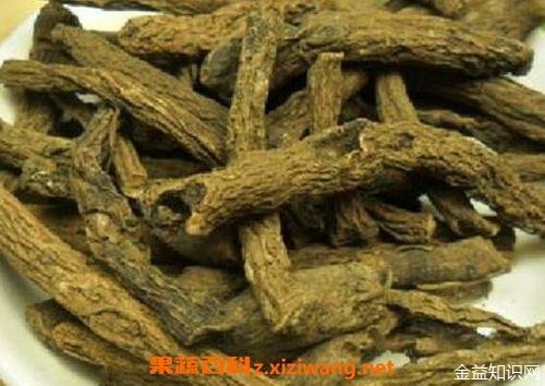 仙茅泡水的功效与作用