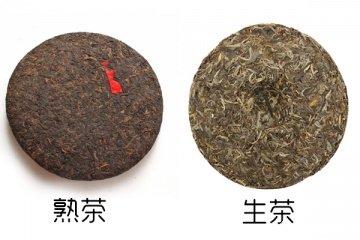 大叶茶的功效与作用