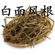 白面风的功效与作用