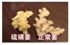 生姜皮的功效与作用