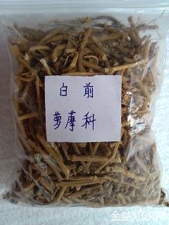 中药白前的功效与作用