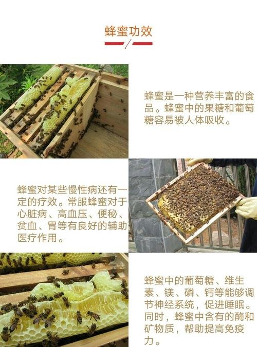 蜂产品的功效与作用