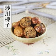 中药川楝子的功效与作用