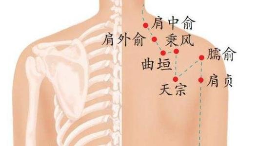 肩井穴的功效与作用