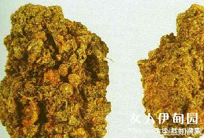 红没药醇的功效与作用