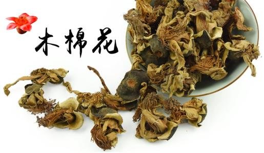 木棉根的功效与作用