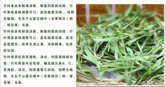 石竹茶的功效与作用