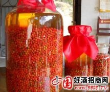 红豆杉泡酒的功效与作用