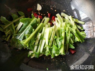 苔菜的功效与作用