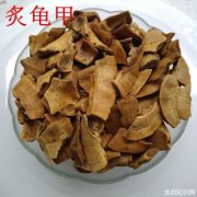 炙龟板的功效与作用