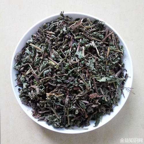 溪黄草茶的功效与作用