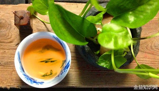 水仙茶的功效与作用