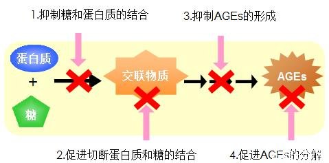 抗糖的作用与功效