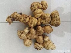 黄精覆盆子的功效与作用