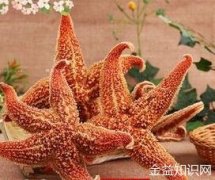 海星的功效与作用