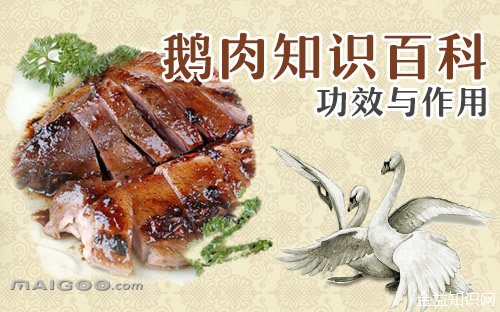 鹅肉的功效与作用