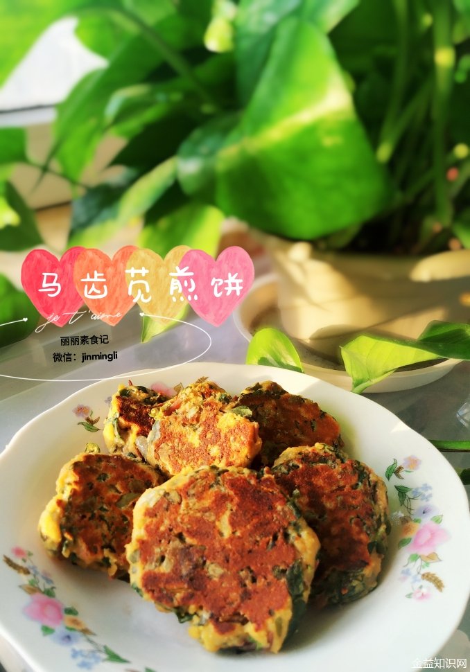 马齿菜的功效与作用