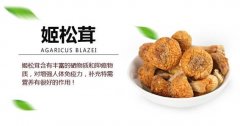 姬松茸的功效与作用