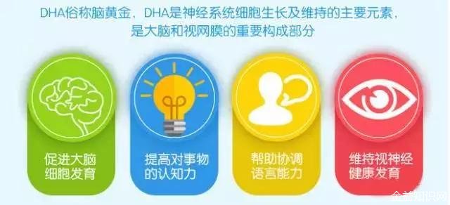 dha的作用与功效