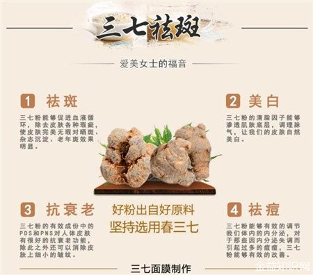 三七粉功效与作用及食用方法