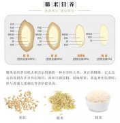 糙米的功效与作用