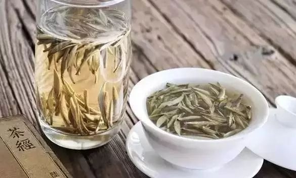 白茶属于什么茶系？白茶怎么喝