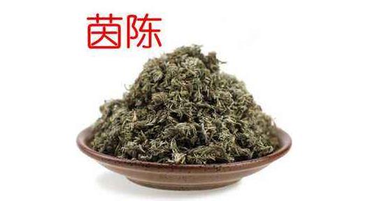 茵陈的功效与作用