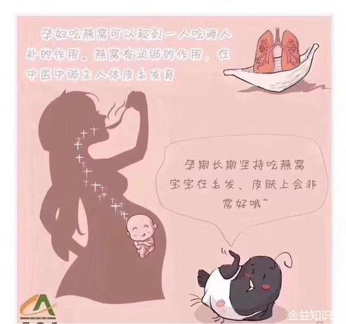 燕窝对孕妇有什么好处