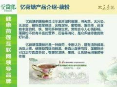 莲藕粉的功效与作用及食用方法