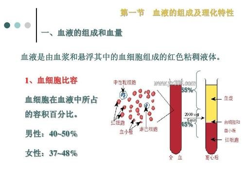 血液的功效与作用